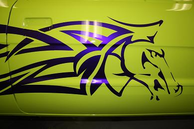 Paint Job 2.jpg