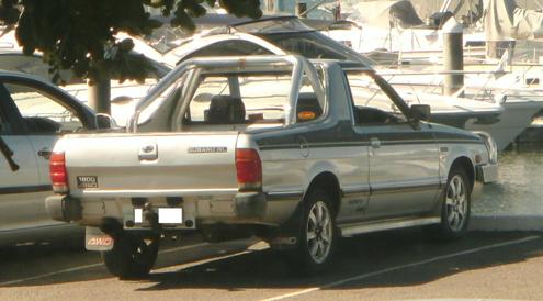 Brumby - 1.JPG