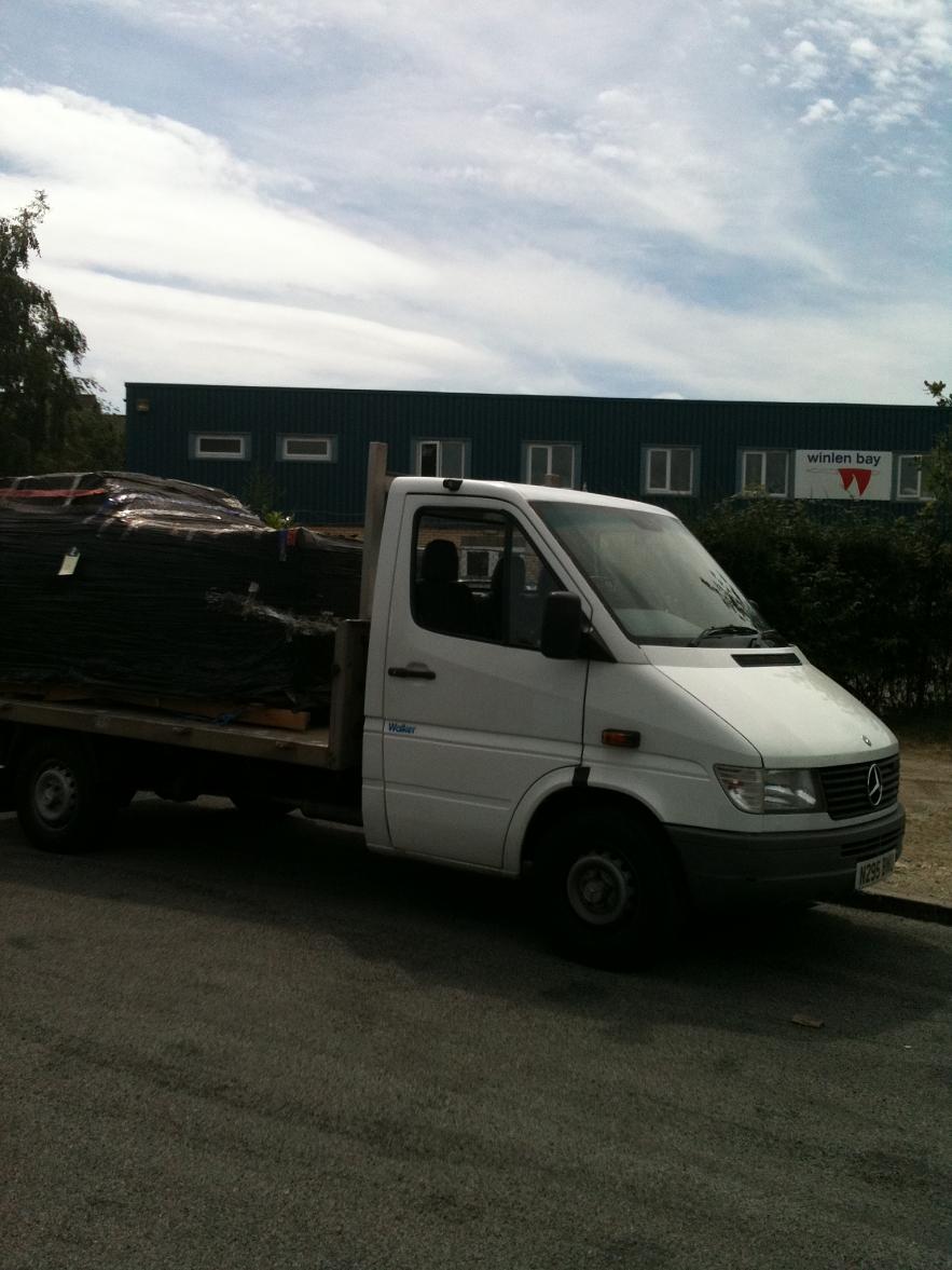 Brumby in UK 003.jpg