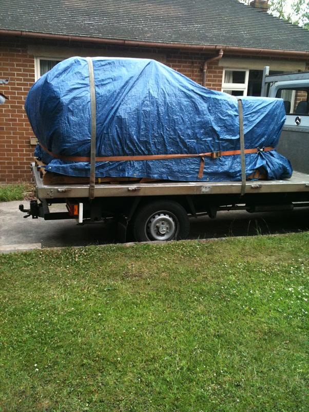 Brumby in UK 007.jpg
