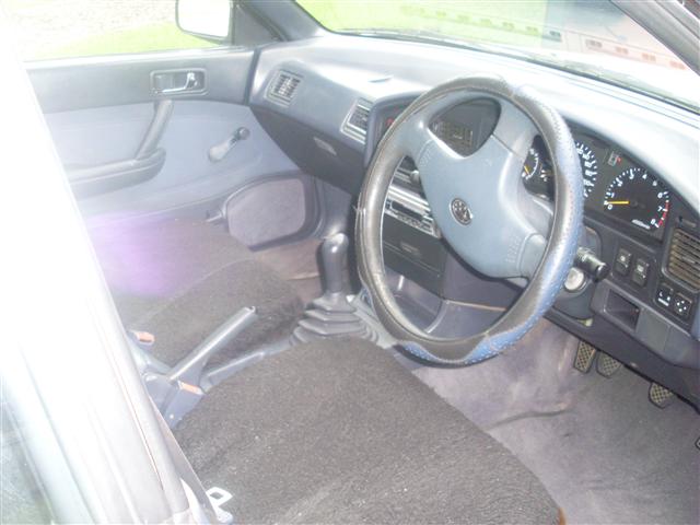 SL373280 (Small).JPG