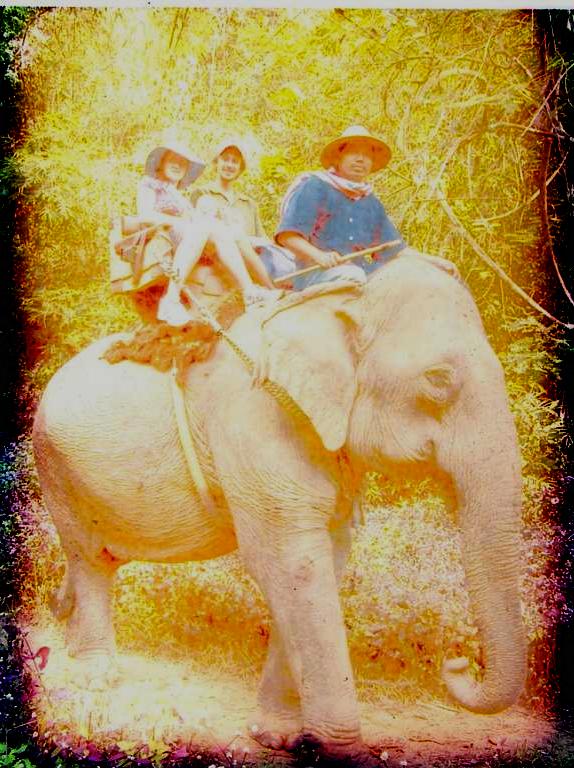 Thai Elephant.jpg