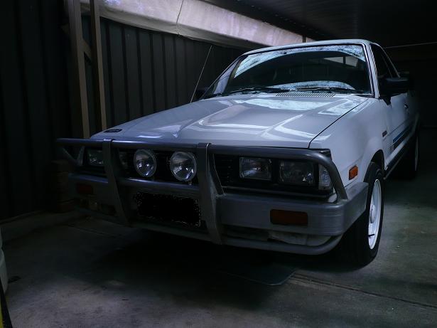 brumby913.JPG
