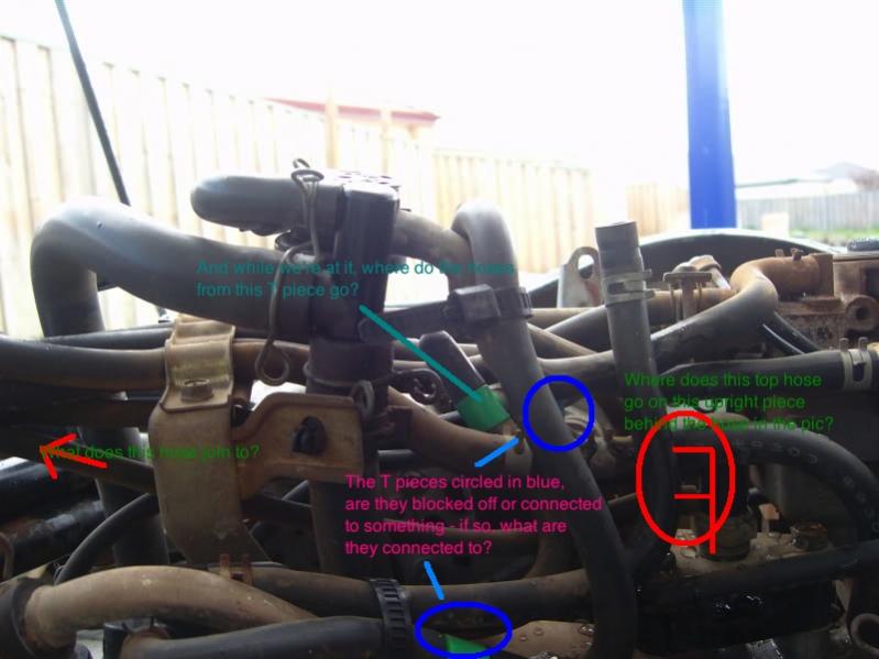 brumbyemissions1.jpg