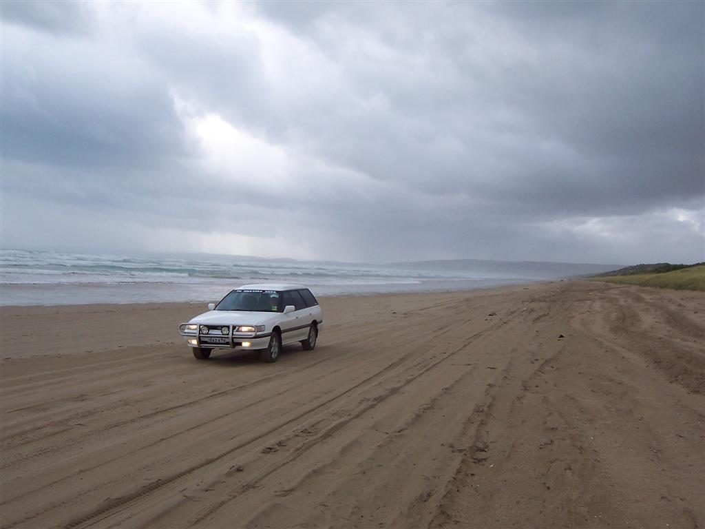 101_4051 (Large).jpg