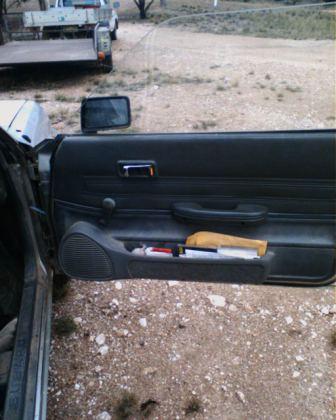 Brumby door2.jpg